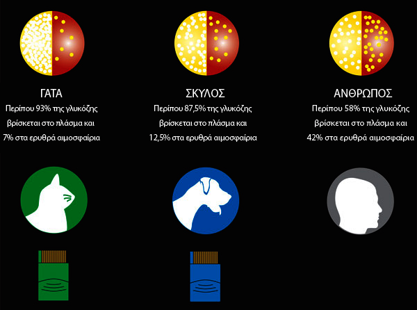 VET_Blood_diff_gr: VET_Blood_diff_gr (© Wellion)