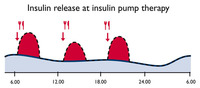 Insulin release at insulin pump therapy:  (© )